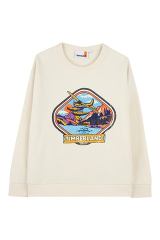 Sweater - Beige
