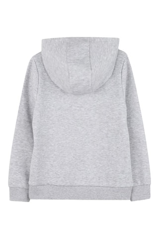 Sweater met Capuchon - Grijs