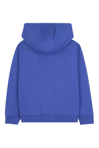 Sweater met capuchon - Koningsblauw DKNY