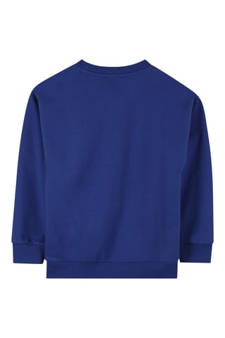 Sweater - Koningsblauw DKNY