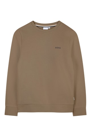 Sweater - Bruin - Boss