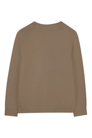 Sweater - Bruin - Boss