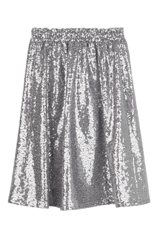 Rok - Zilverkleurig - DKNY