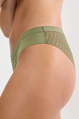 Tanga Aura Spotlight - Kaki