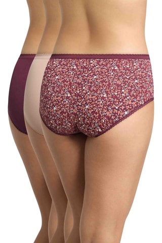 3 culottes Cotton - Bordeaux