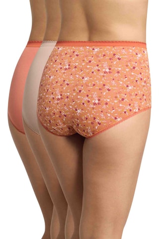 3 culottes taille haute Cotton - Orange