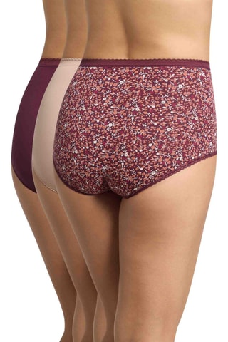 3 culottes taille haute Cotton - Bordeaux