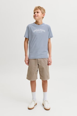 T-shirt regular en coton biologique  -  Ciel - Jack&Jones