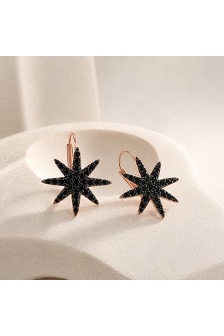 Boucles d'oreilles - Argent et plaqué or rose