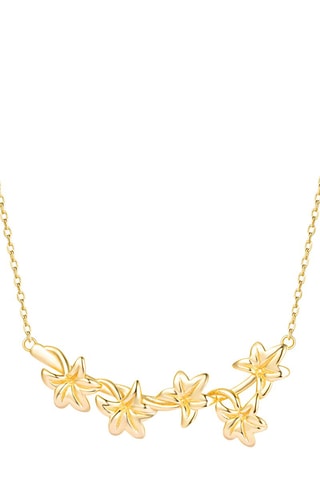 Collier - Argent plaqué or jaune