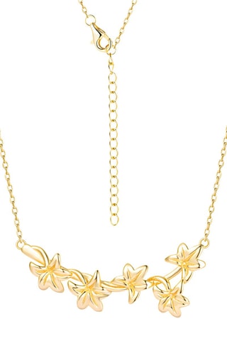Collier - Argent plaqué or jaune