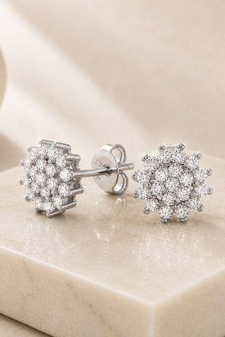 Puces Argent