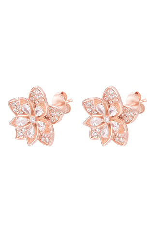 Puces - Argent plaqué or rose