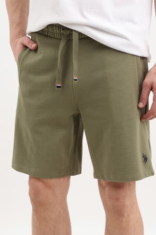 Bermuda - Vert