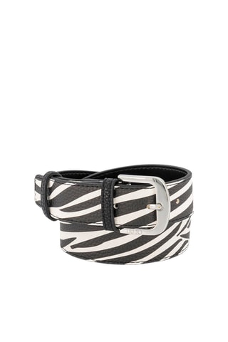 Ceinture - Blanc, noir et argenté