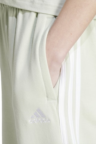 Pantalon regular Essentials - Vert clair