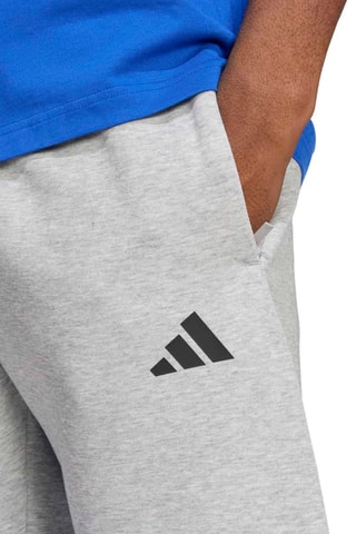 Pantalon regular d’entraînement Future Icons - Gris