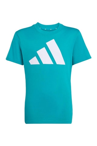 T-shirt regular d'entraînement Essentials - Vert d'eau