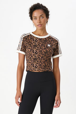 T-shirt regular - Marron