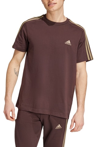 T-shirt - Marron