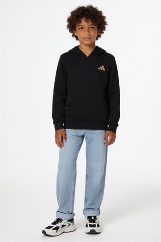 Sweat à capuche regular - Noir