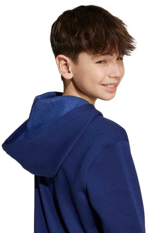 Sweat à capuche Seasonals - Bleu roi