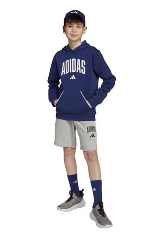 Sweat à capuche Seasonals - Bleu roi