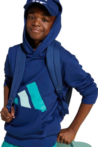 Sweat d’entraînement à capuche Essentials - Bleu