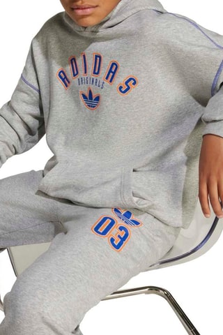 Sweat à capuche Graphics - Gris chiné