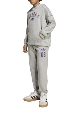 Sweat à capuche Graphics - Gris chiné
