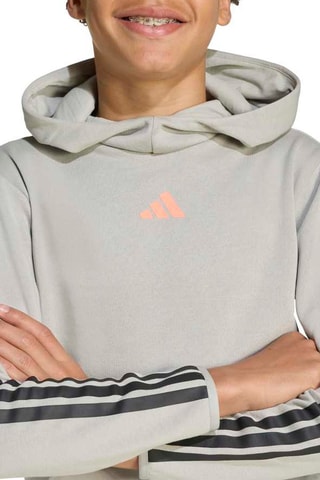 Sweat à capuche Urban Outdoor - Gris