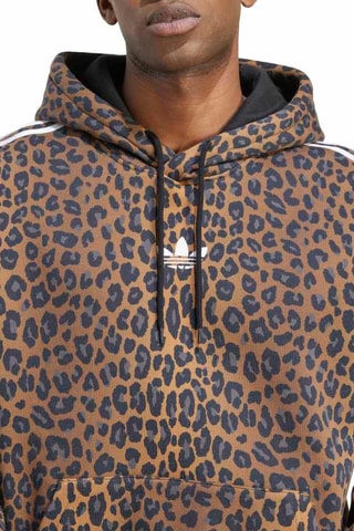 Sweat à capuche Graphics - Marron