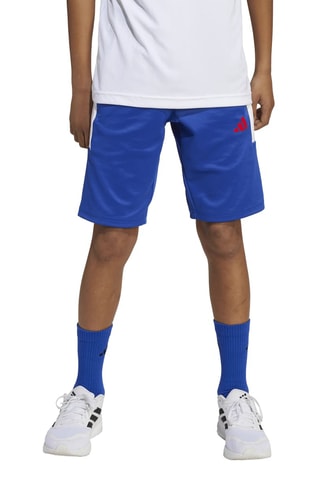 Short regular d’entraînement - Bleu roi