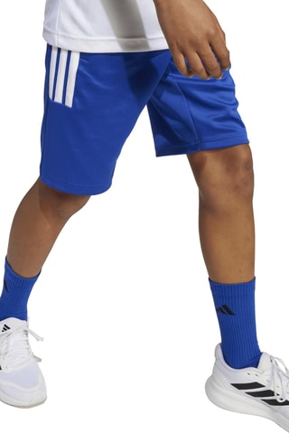 Short regular d’entraînement - Bleu roi