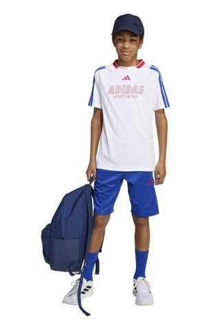Short regular d’entraînement - Bleu roi