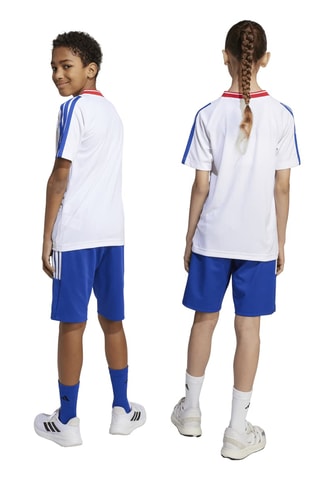 Short regular d’entraînement - Bleu roi