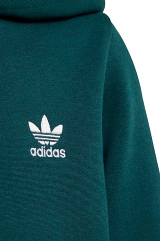 Sweat à capuche et pantalon regular - Vert