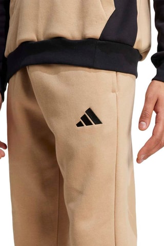 Sweat à capuche et pantalon regular d’entraînement - Marron clair