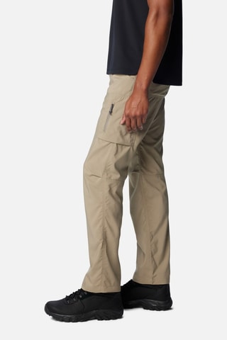 Pantalon de randonnée Silver Ridge™ - Marron - Columbia