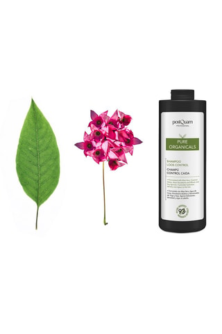 Antihaaruitvalshampoo Organicals - 1