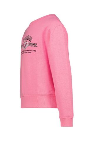 Sweat - Rose