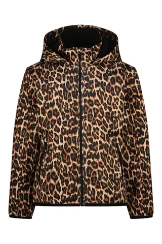 Veste à capuche - Marron