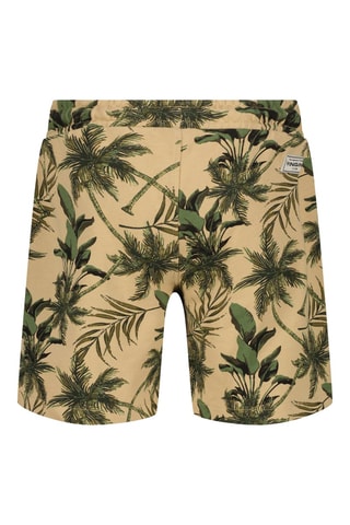 Short - Blanc, beige et vert