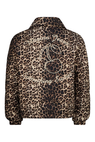 Veste - Beige et marron