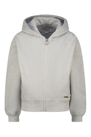 Sweat à capuche - Gris