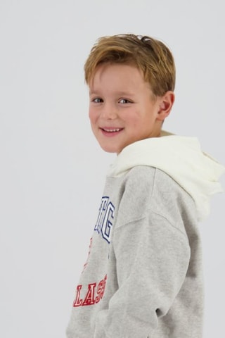 Sweat à capuche - Gris