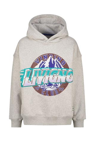 Sweat à capuche - Gris