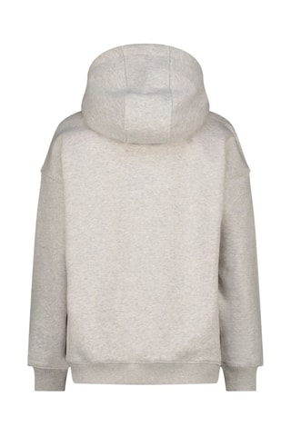 Sweat à capuche - Gris