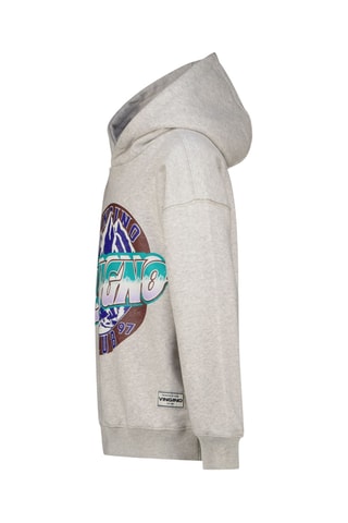 Sweat à capuche - Gris