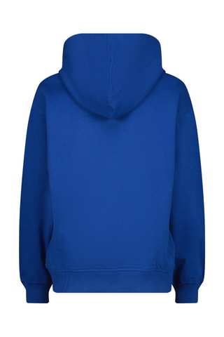 Sweat à capuche - Blanc et bleu